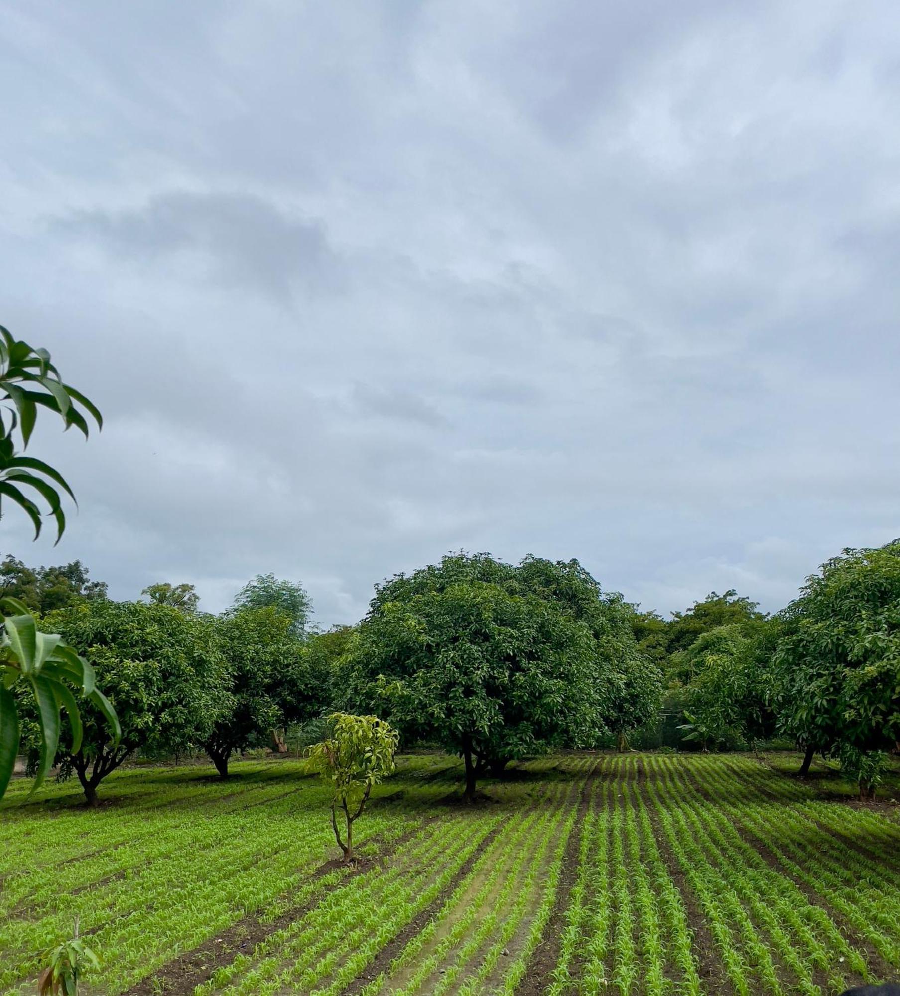 Farm stay Fulgulab Lawns And Junnar